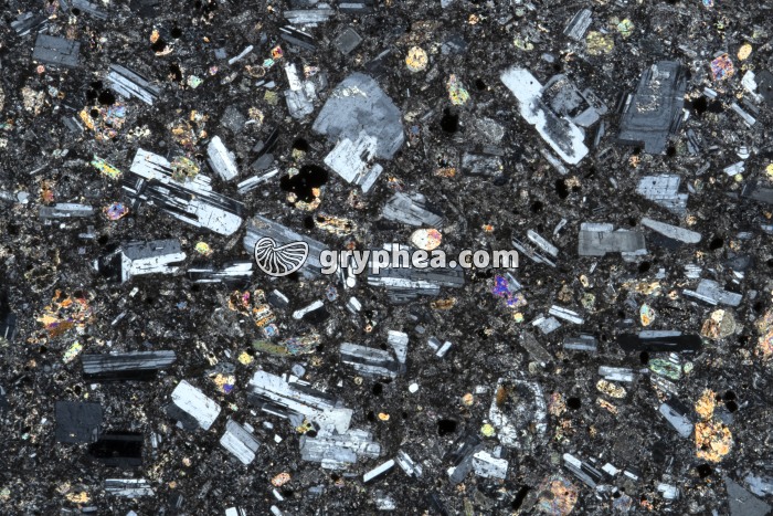 Andésite LPA x3 - gryphea.org